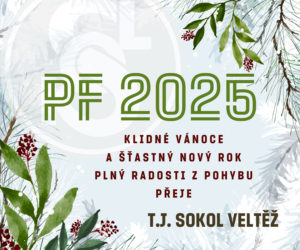 Veselé Vánoce a šťastný nový rok 2025